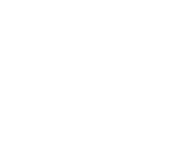 Brand New Day